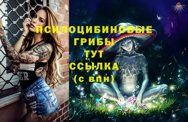 стафф Алзамай