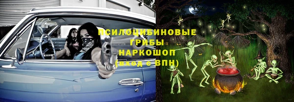 СК Алексин